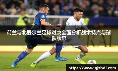 荷兰与北爱尔兰足球对决全面分析战术特点与球队状态