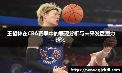 王哲林在CBA赛季中的表现分析与未来发展潜力探讨