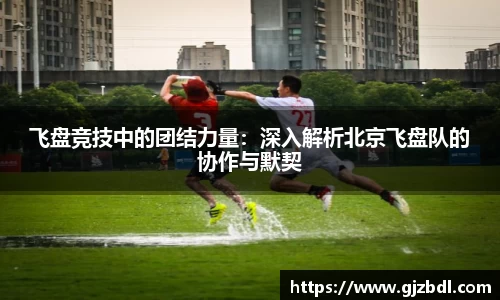 飞盘竞技中的团结力量：深入解析北京飞盘队的协作与默契